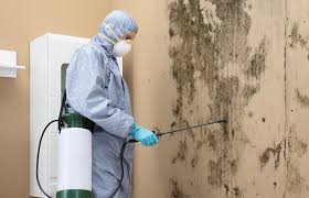 Best Asbestos and Lead Testing During Mold Inspection  in Pleasanton, TX